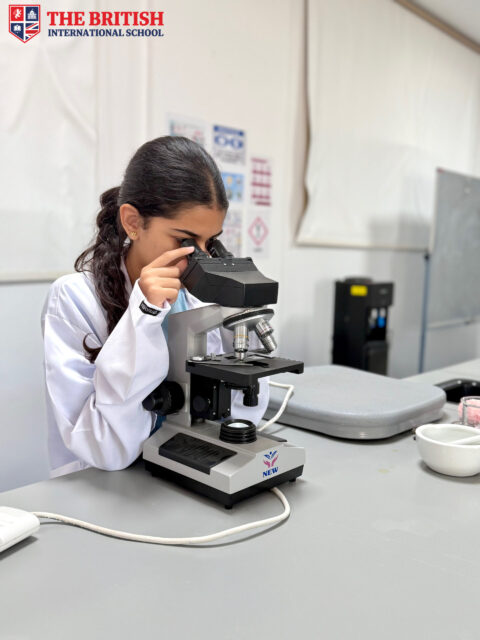 Copy of 673D046E-872A-4842-AC2E-A23CA06694CB